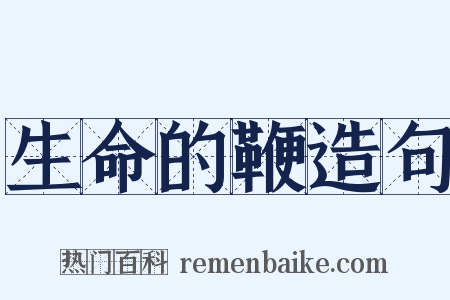 生命的鞭造句是什么意思的图片
